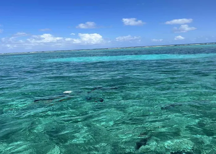 Сasa de vacaciones Residences At Barrier Reef 1-1c Oceanfront 2 Bedroom By Floreo San Pedro (Ambergris Caye)