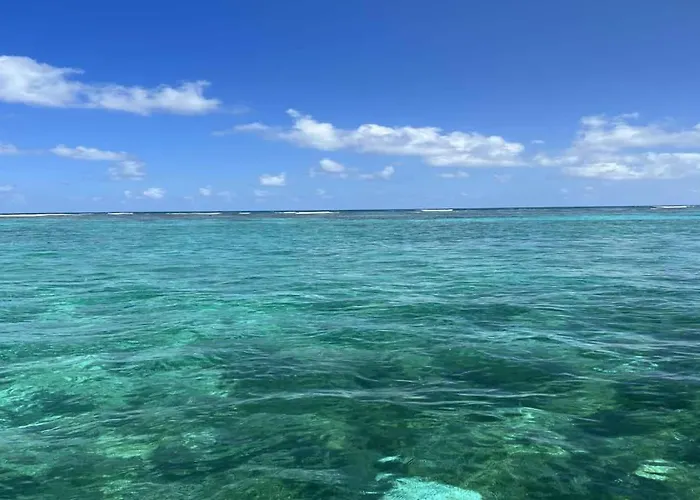 Сasa de vacaciones Residences At Barrier Reef 1-1c Oceanfront 2 Bedroom By Floreo