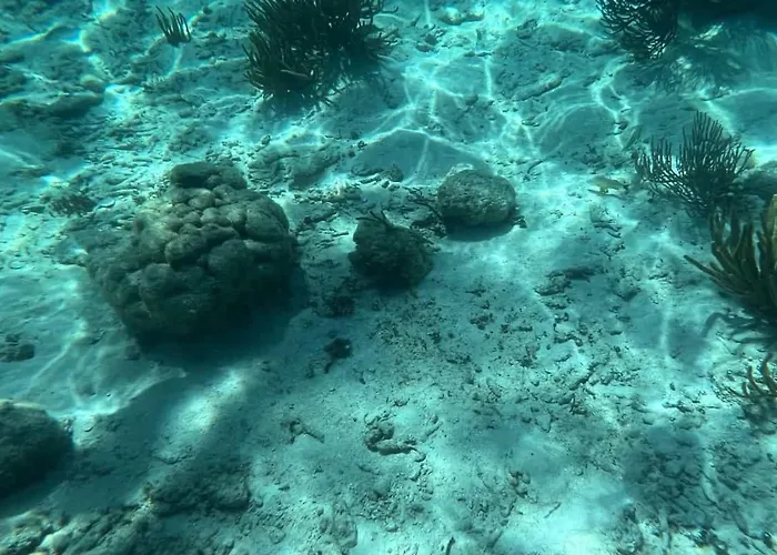 Residences At Barrier Reef 1-1c Oceanfront 2 Bedroom By Floreo San Pedro (Ambergris Caye)